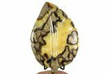 Polished Septarian Leaf with Stand - Madagascar #337672-1